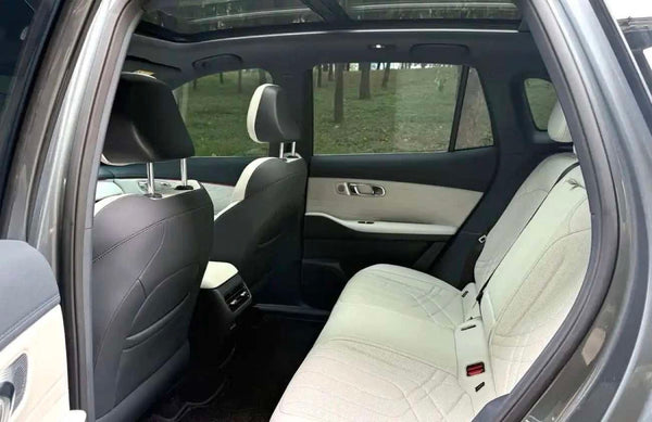Geely Galaxy Starship 7 EMi 1.5 Pilot