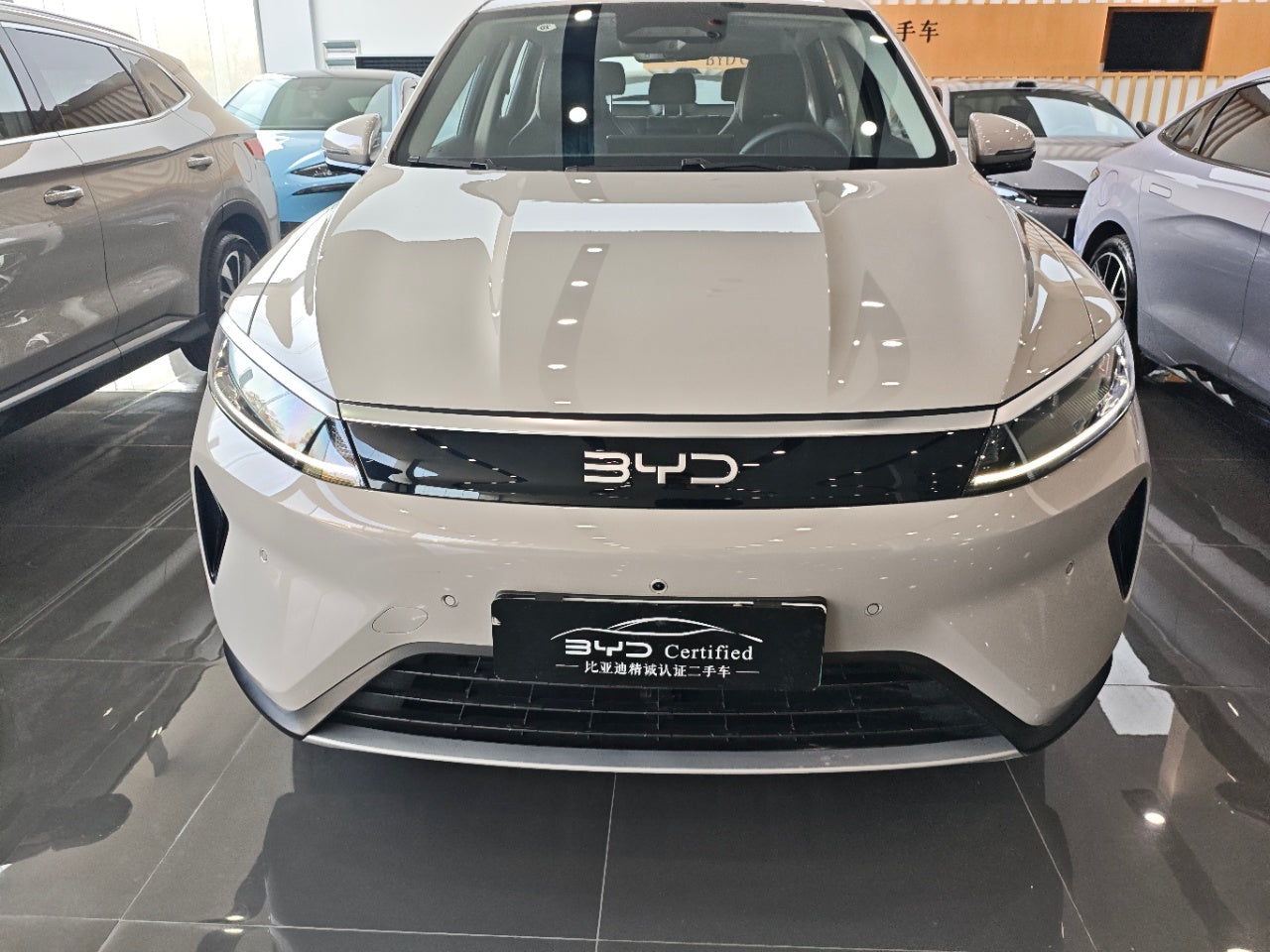 BYD sea lion 05