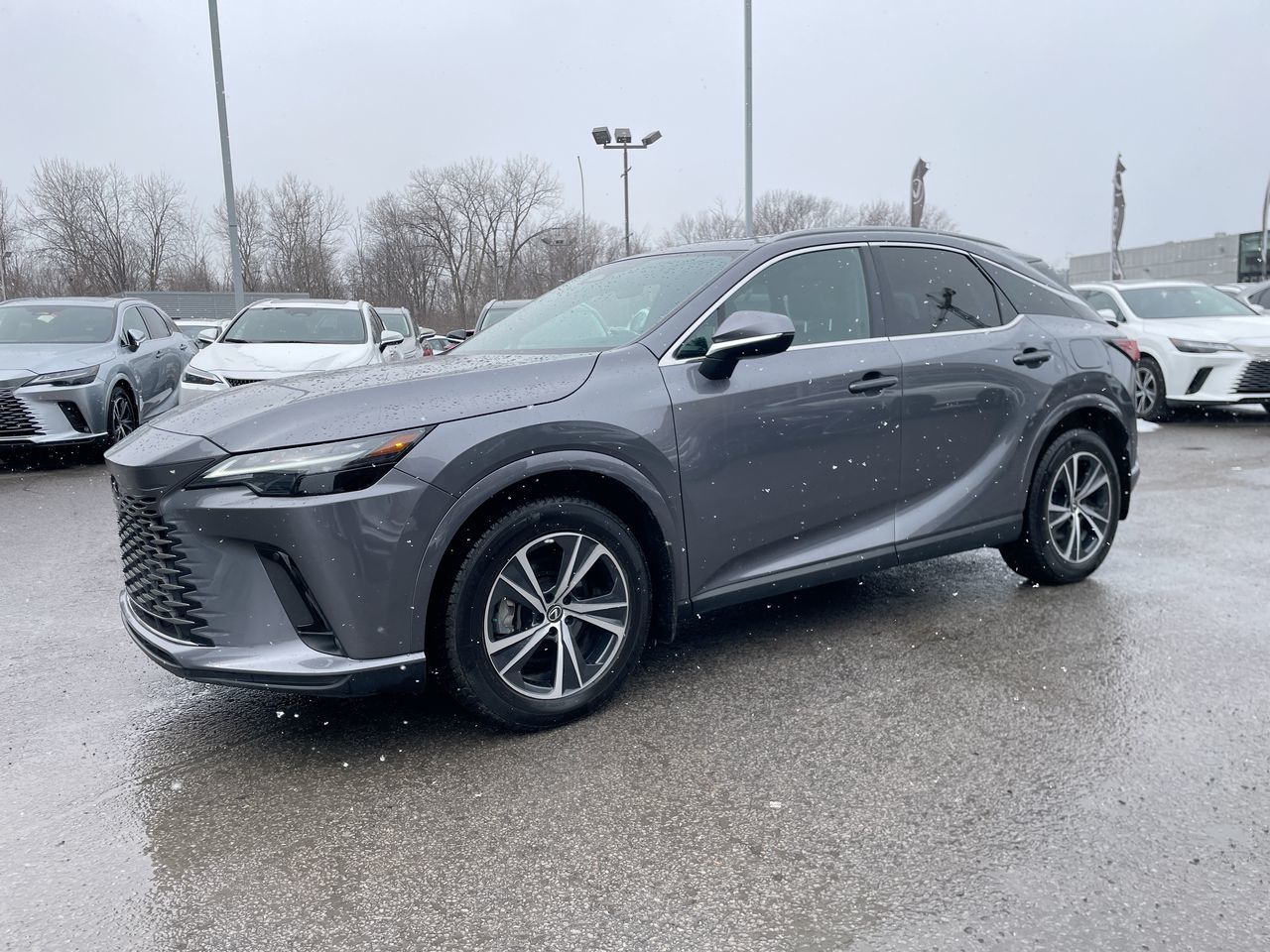 Lexus Rx