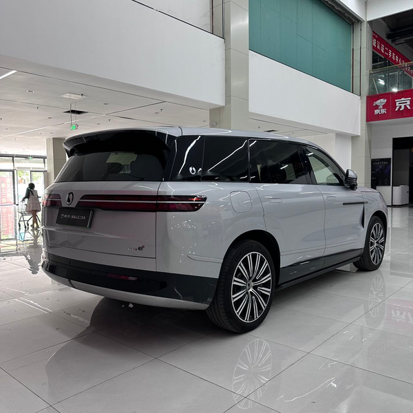 Denza N9 Flagship 2025 model