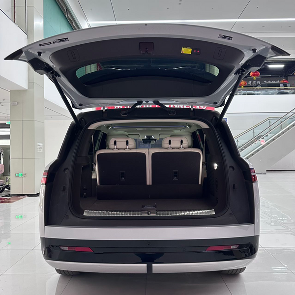 Denza N9 Flagship 2025 model