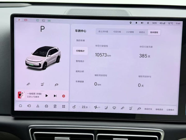Lixiang L6