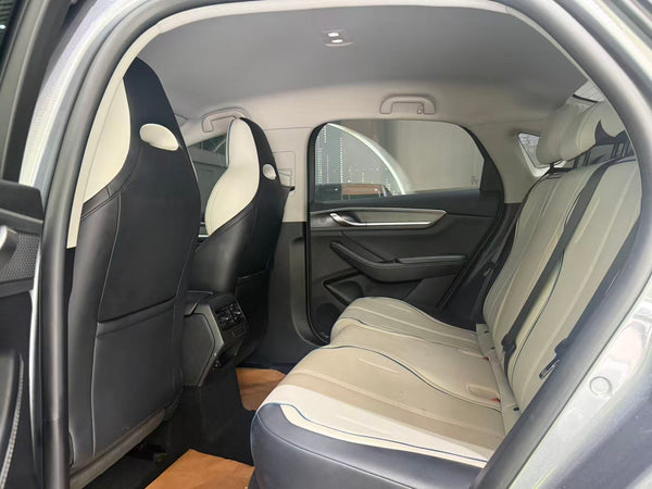 BYD Destroyer 05 dmi Luxury