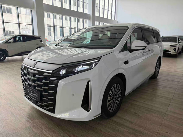 BYD XIA