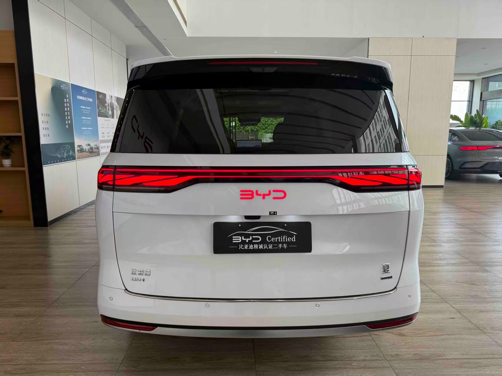 BYD XIA