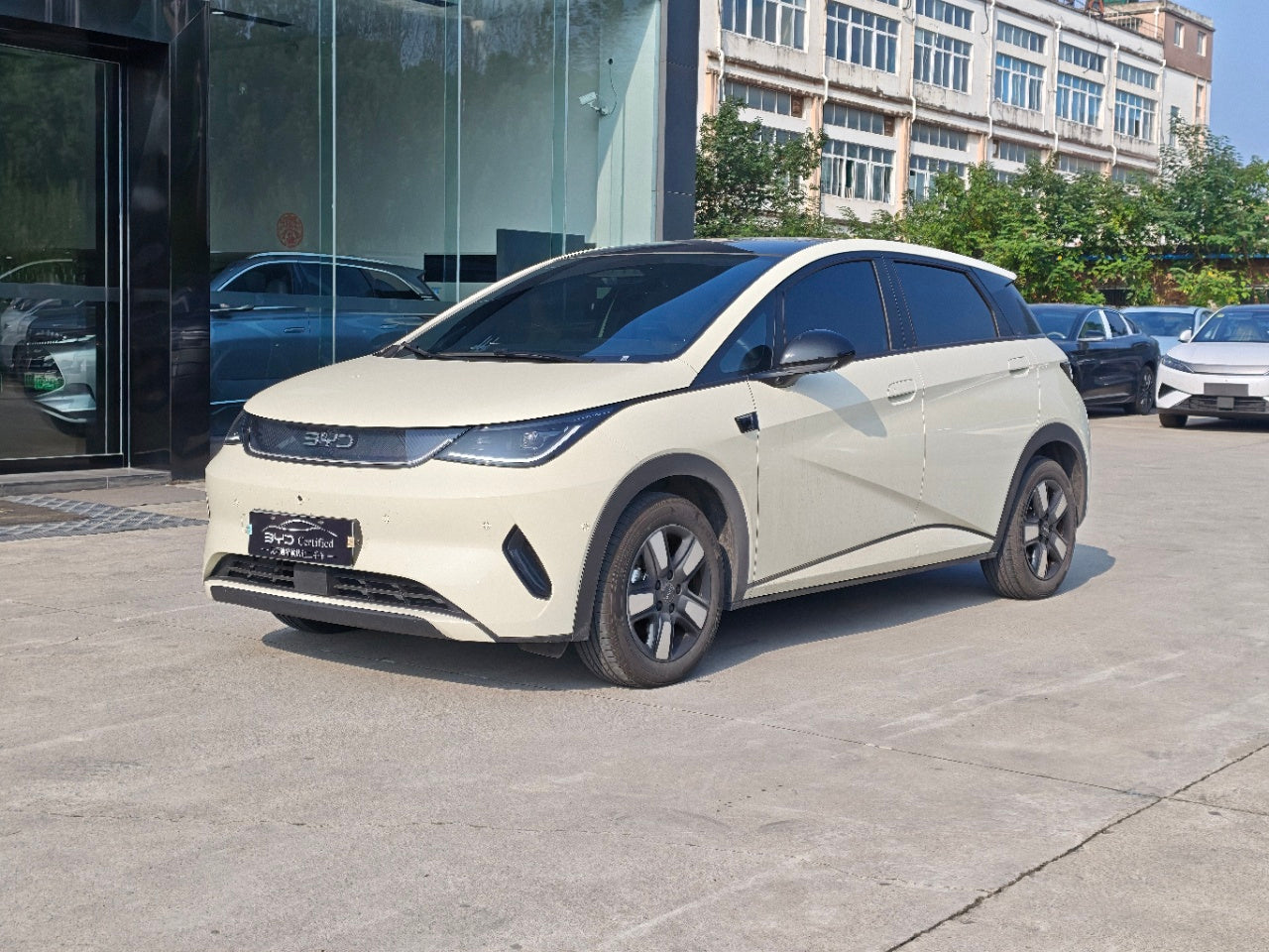 BYD Dolphin