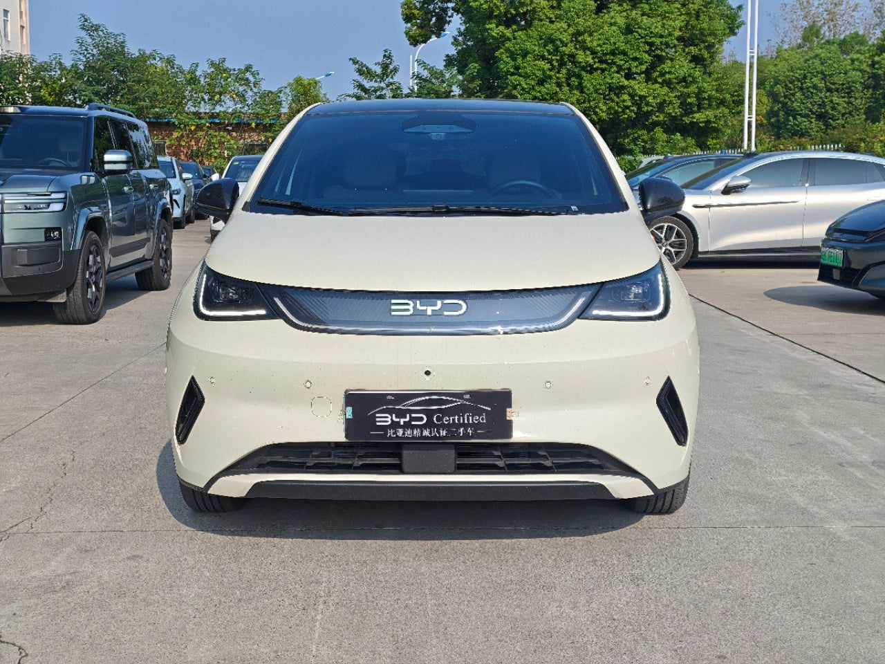 BYD Dolphin