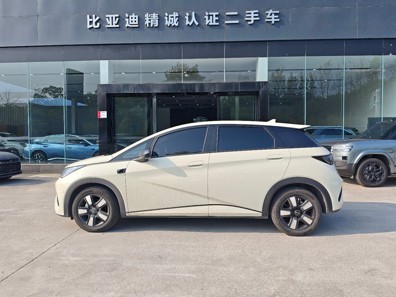 BYD Dolphin