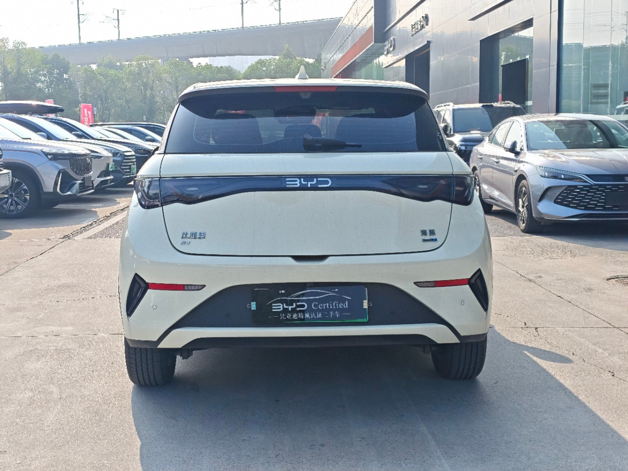 BYD Dolphin
